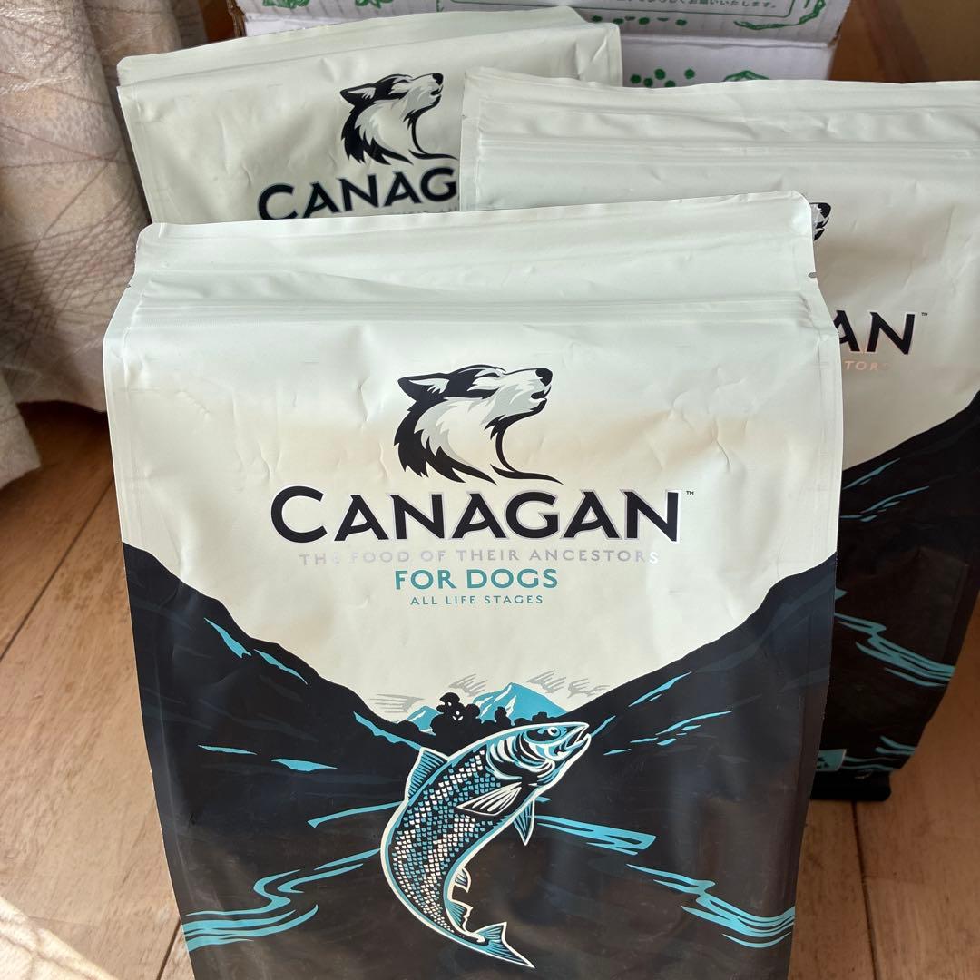 CANAGAN ドッグフード サーモン 2kg✖️3袋