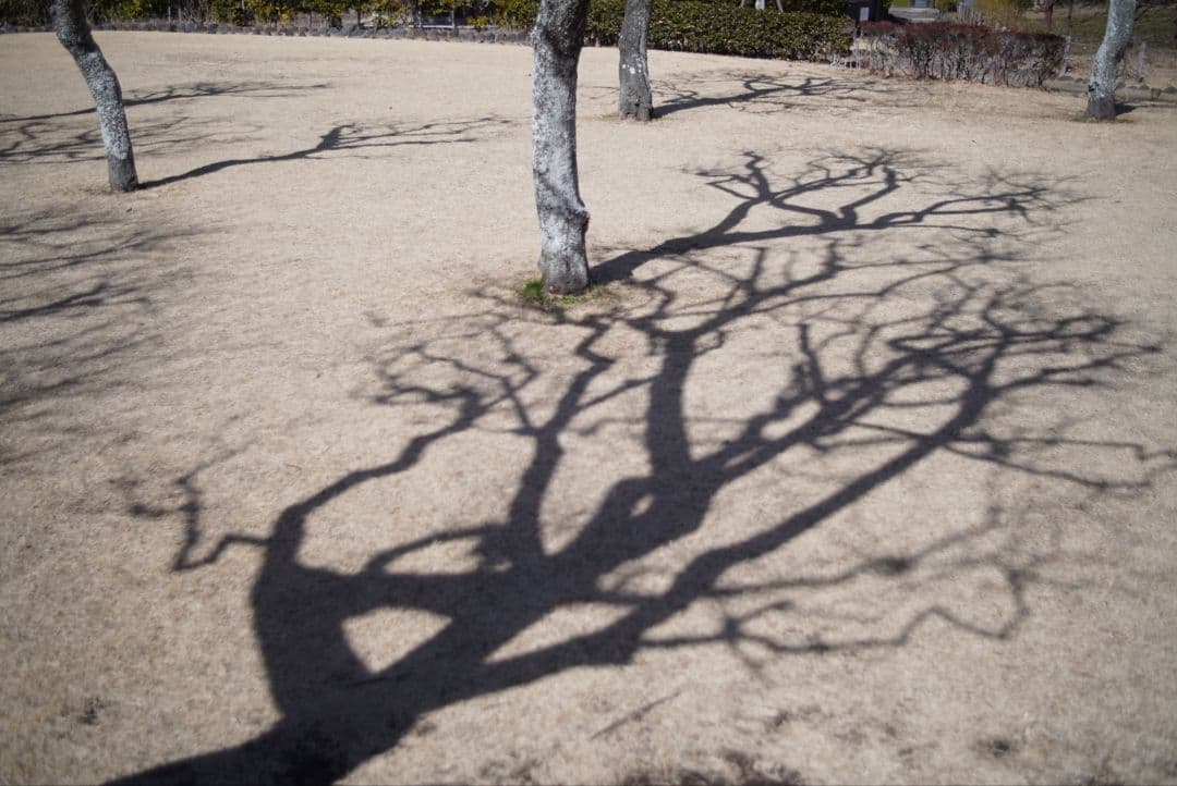 【分解清掃済】Nikon Ai-s 35mm f2.8 初期不良保証付き