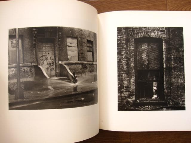 East 100th Street　Bruce Davidson