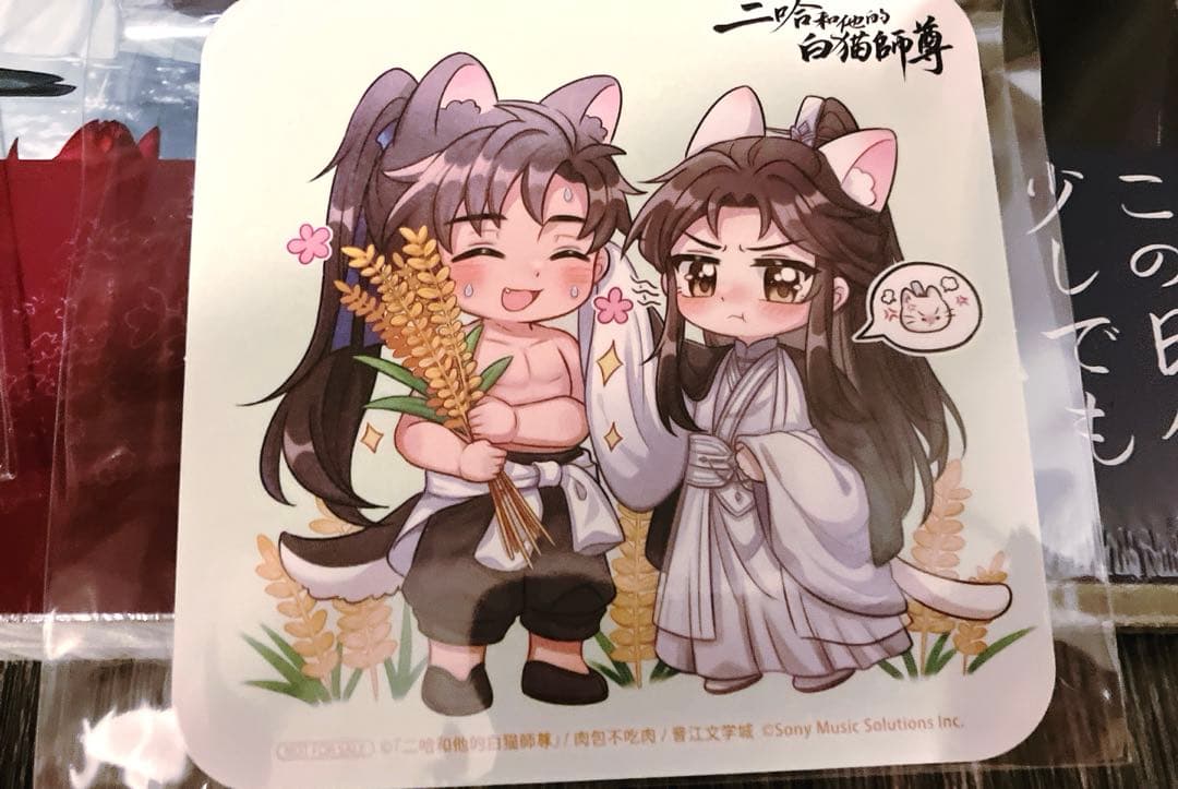 【タペストリー・番外冊・マグネット】二哈和他的白猫師尊 2ha 5巻6巻　特装版