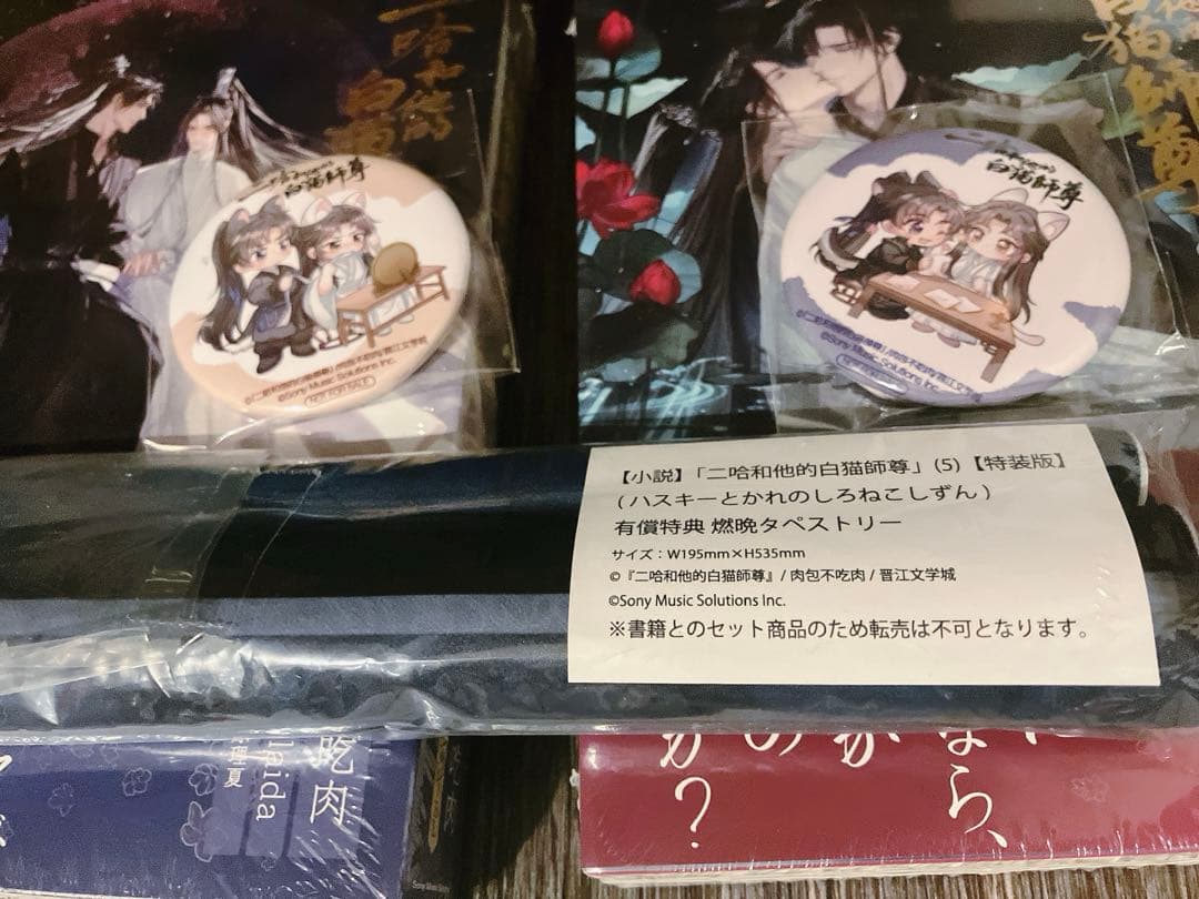 【タペストリー・番外冊・マグネット】二哈和他的白猫師尊 2ha 5巻6巻　特装版