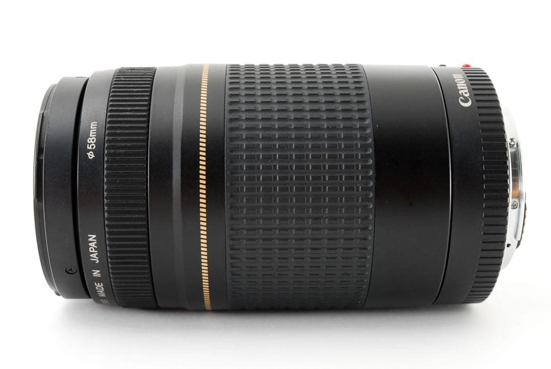 スポーツ/イベント/人気の望遠レンズ/Canon EF75-300㎜