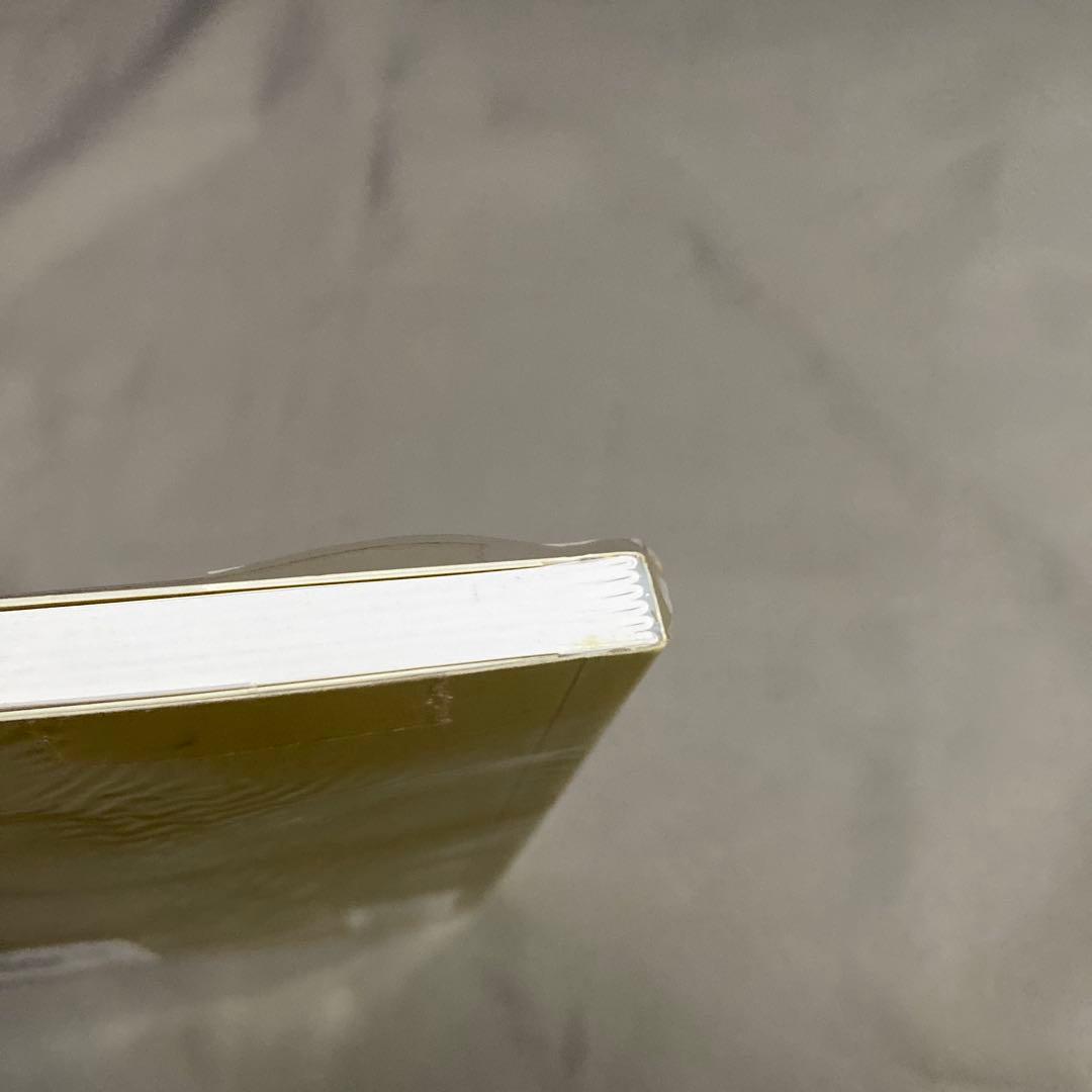 Guy Bourdin PHOTOFILE ギィ・ブルダン