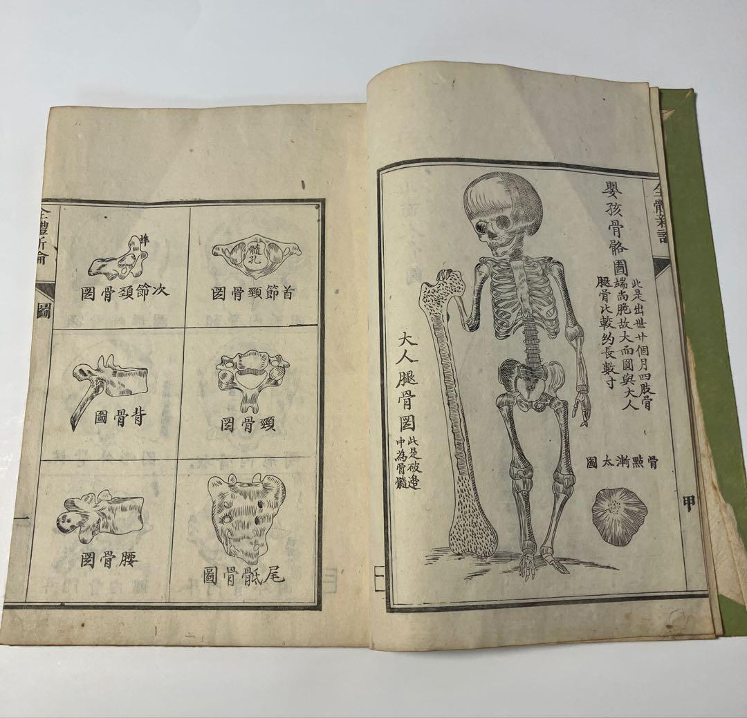 古書　解体新書　の様な、体の構造を描いた本　安政4年