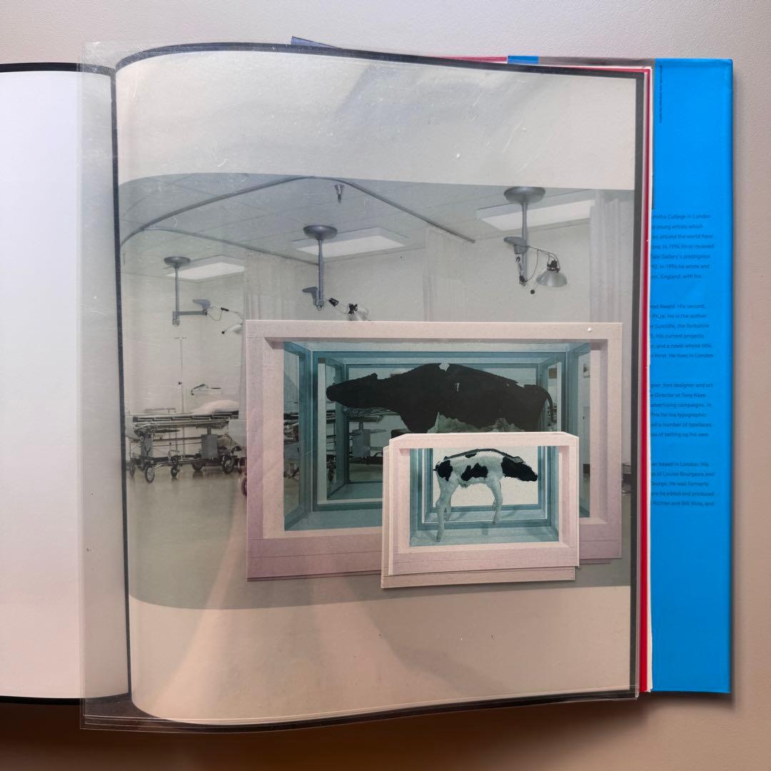 (大判ver)Damien Hirst