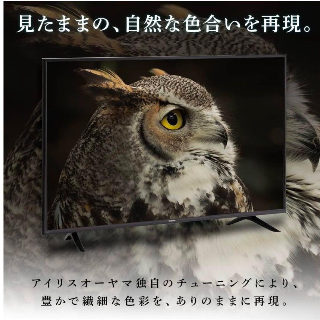 【最終値下げ】IRIS OHYAMA 55インチ 4Kテレビ