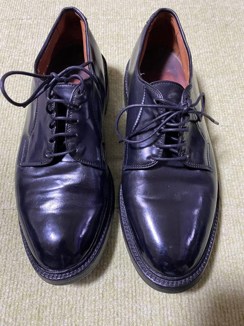 【コードバン】Allen Edmonds Leeds (US6.5E)