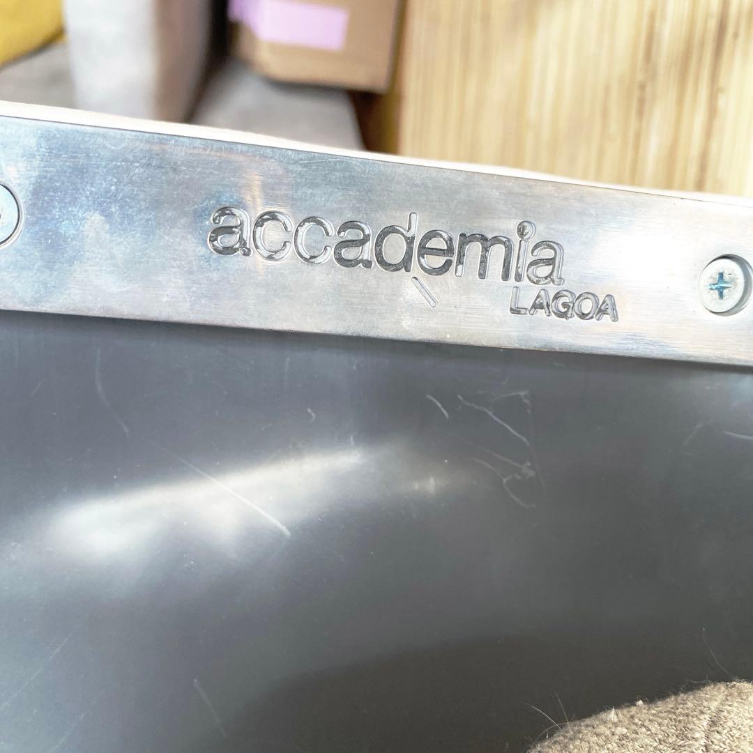 ダイニングチェア　2脚　イタリア　ウルトラモダン　Accademiaデザイン