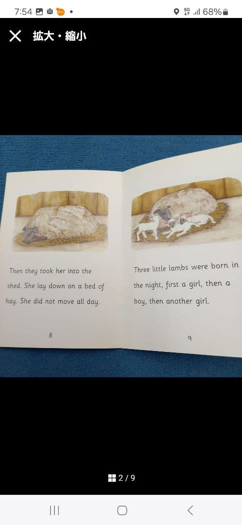 英語絵本　66冊