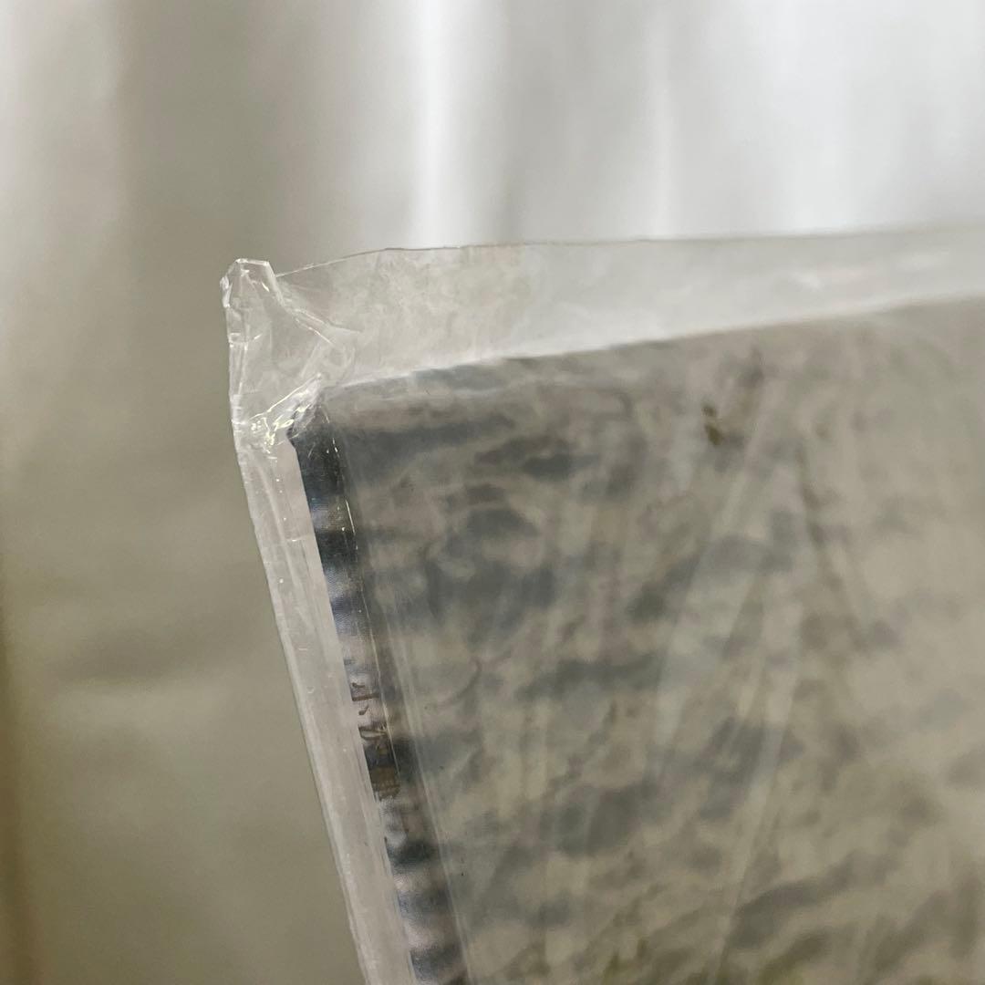 32834 小沢健二 ある光 レコード アナログ