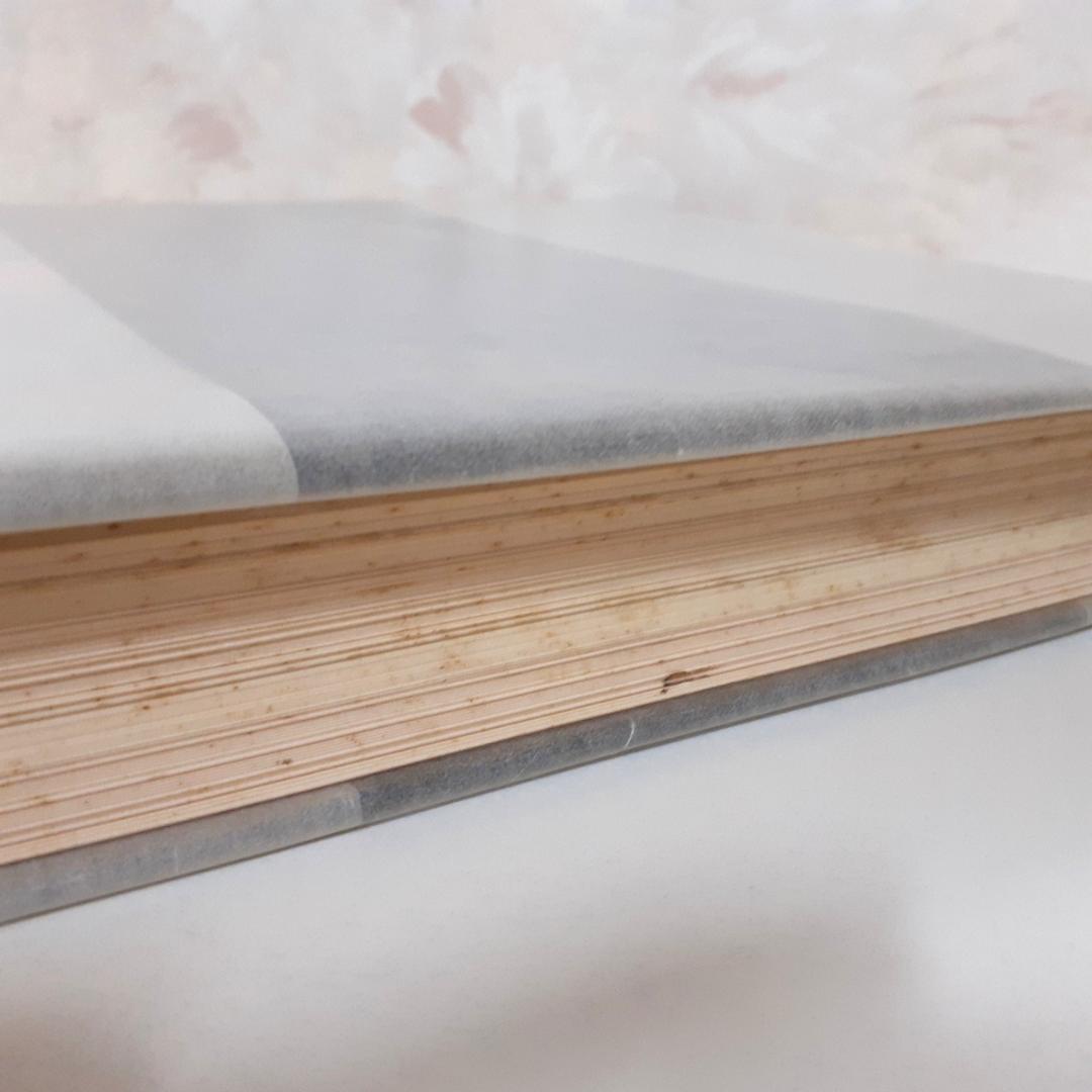 支那古玉図録　梅原末治