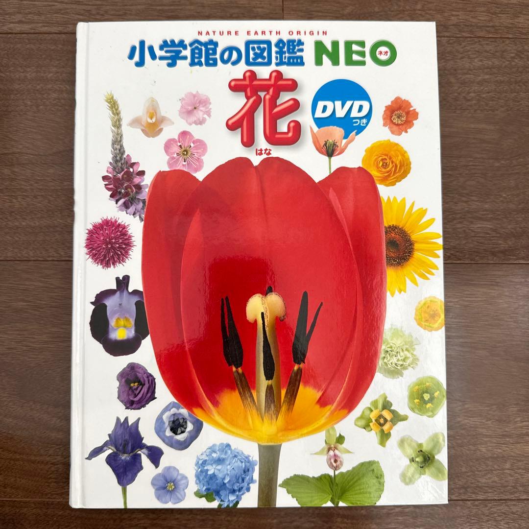 小学館の図鑑NEO (一部DVD付き)15巻セット