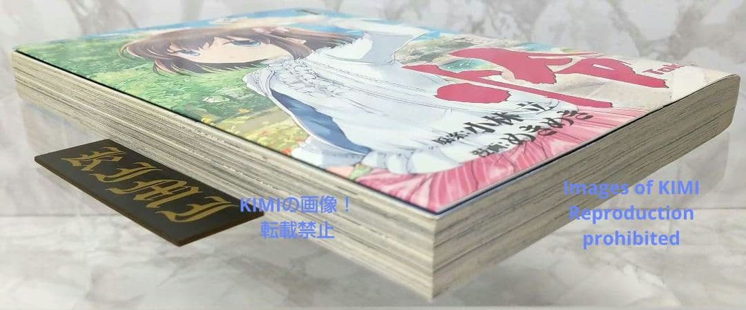 初版 怜 Toki 1 コミック 漫画 本 2016 小林 立,めきめき ビッグ