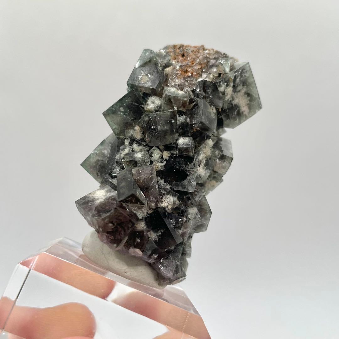 Diana Maria mine Smoky Rabbit Pocket 蛍石