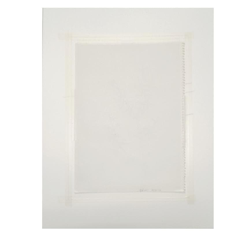 ☆ 坂本直行 ☆「 れんぎょう 」水彩画　1982年3月作　証明書有り　未使用！