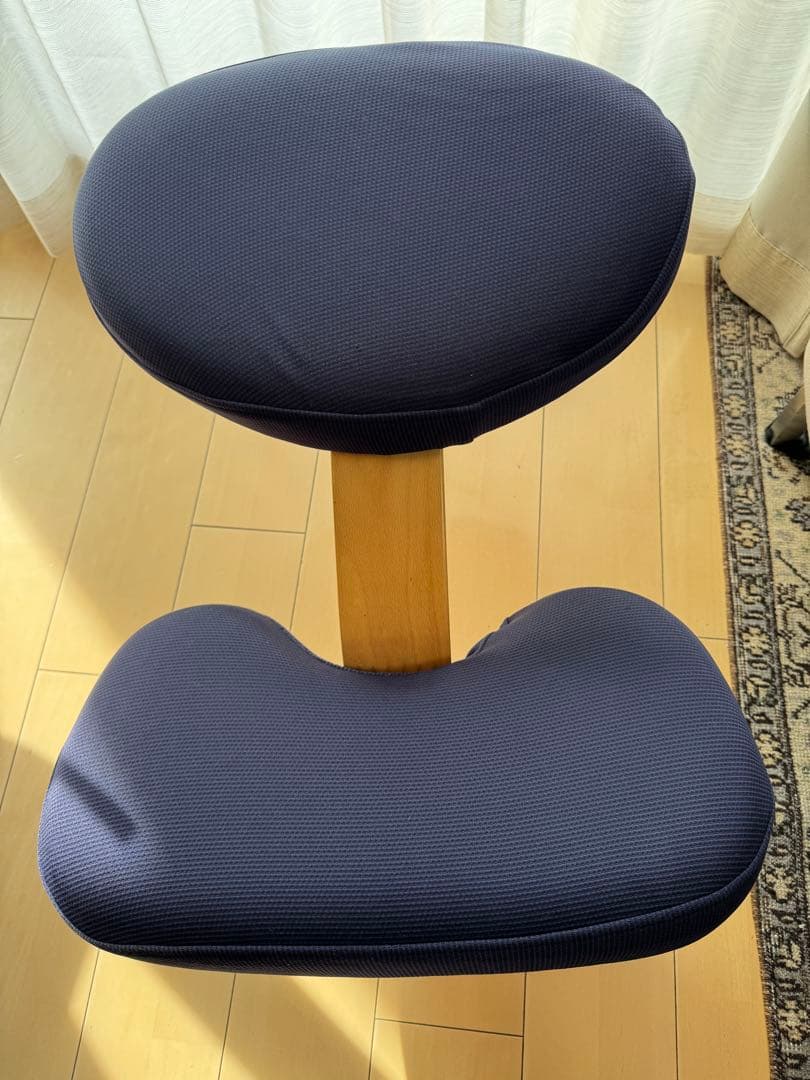 バランスラボ バランスイージー ネイビー ショートフレーム