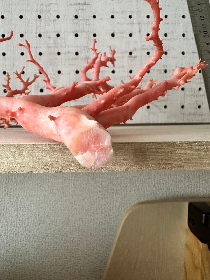 加工無し　ピンクサンゴ　桃珊瑚　原木