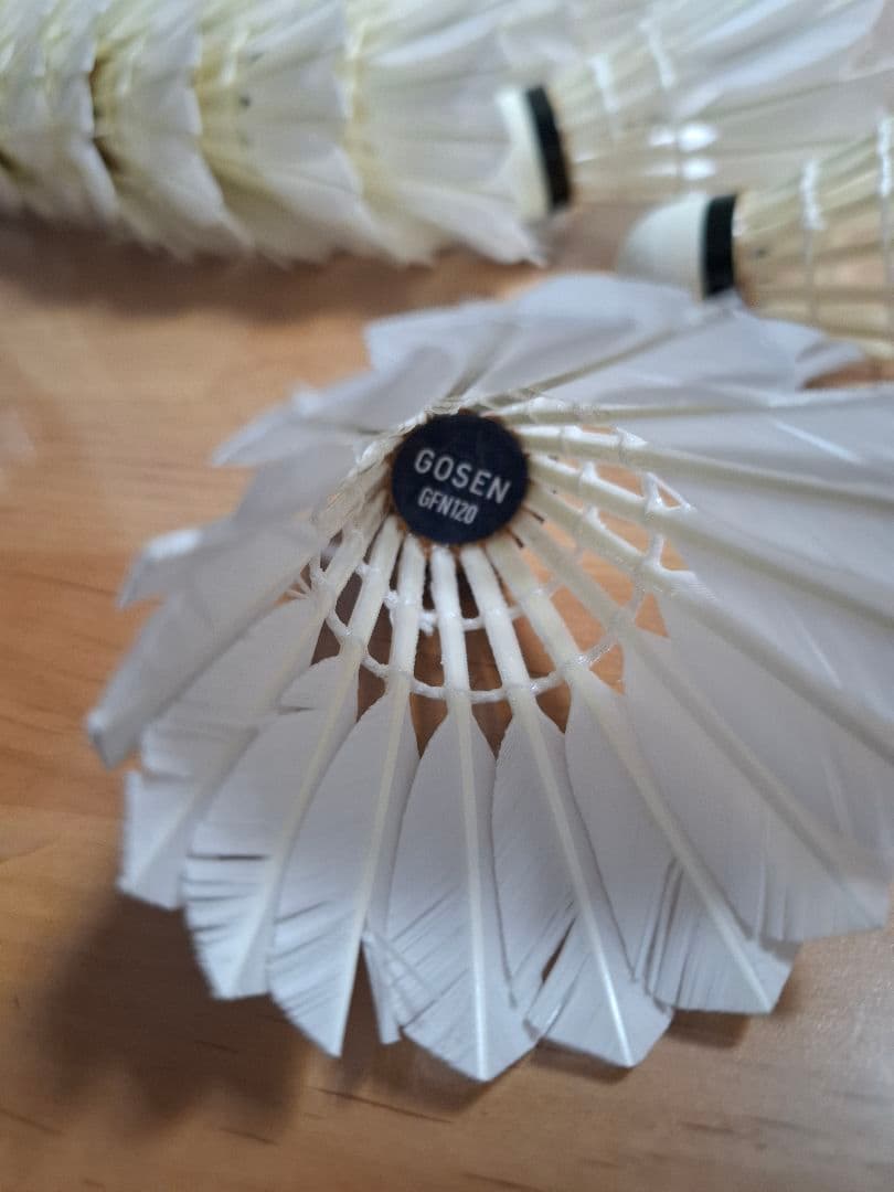 GOSEN バドミントン セミシャトル GFN120 10ダース