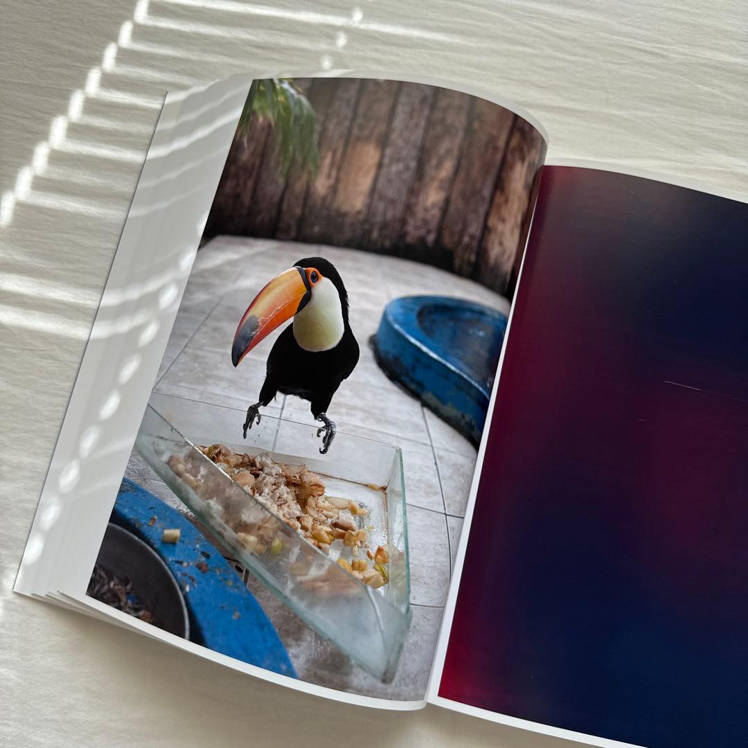 Wolfgang Tillmans Neue Welt 写真集 作品集