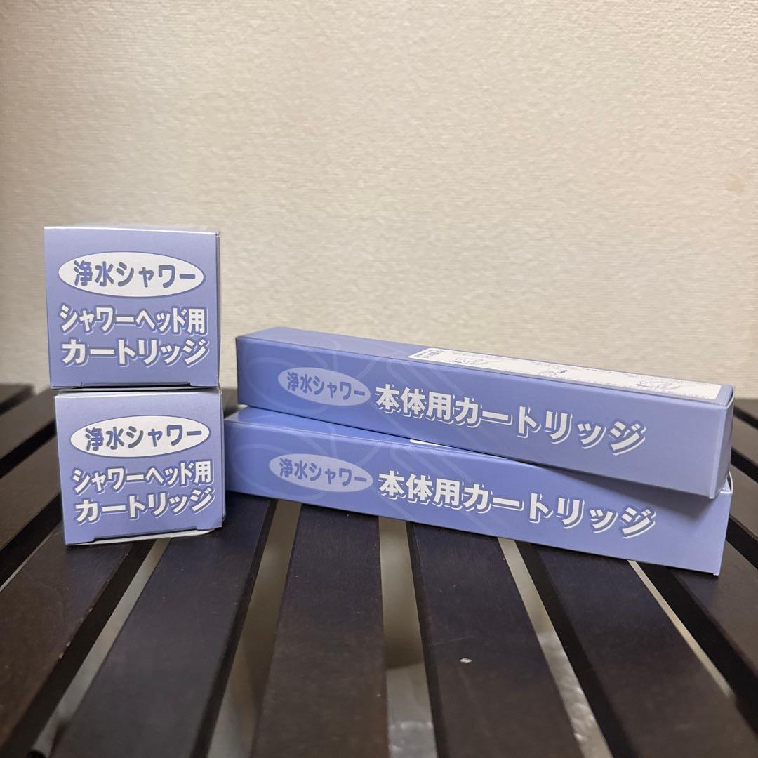 素粒水　フリーサイエンス　シャワー用 交換カートリッジ　２個セット売り