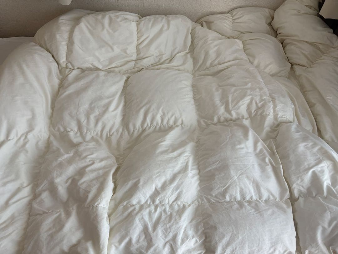 ニトリ まん中ふっくら 羽毛掛ふとん セミダブル(S-152 SD)