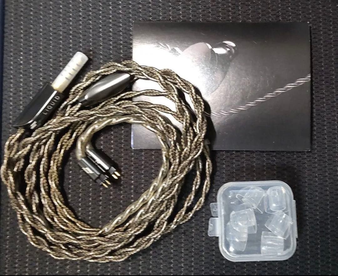 Melodic Artification Eclipse イヤホン　中古