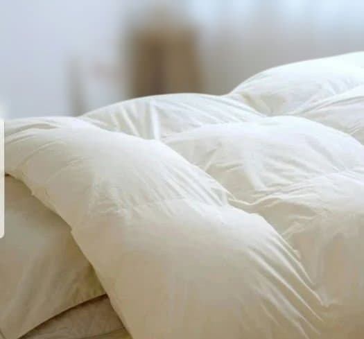 むーです。nishikawa 羽毛掛け布団 190×210cm