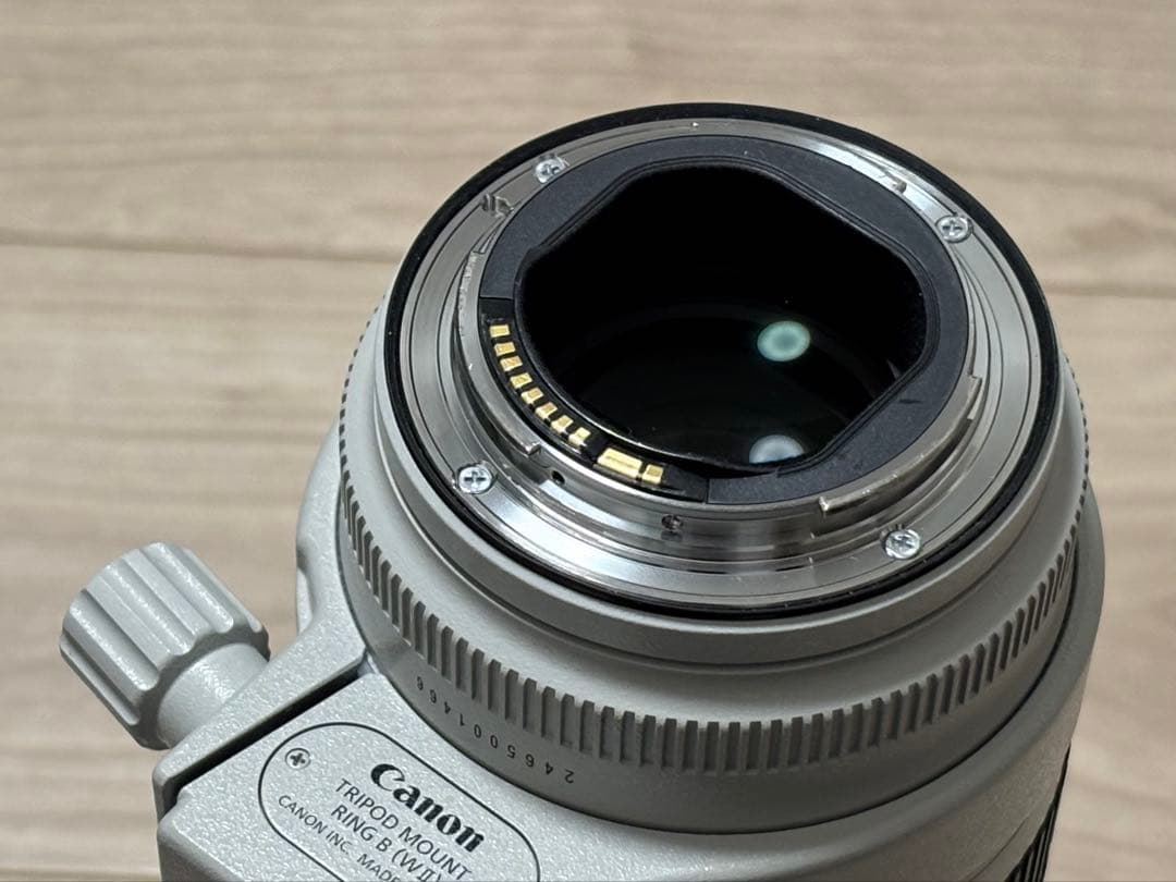最終値下げ Canon EF70-200mm F2.8L IS III USM