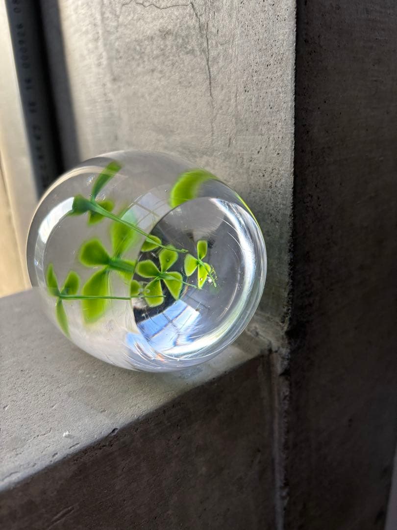 【イイノナホ】CLOVER FAMILY クローバー ファミリー