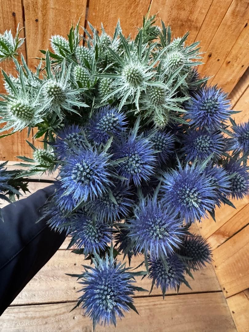 R様 リクエスト 3点 まとめ商品