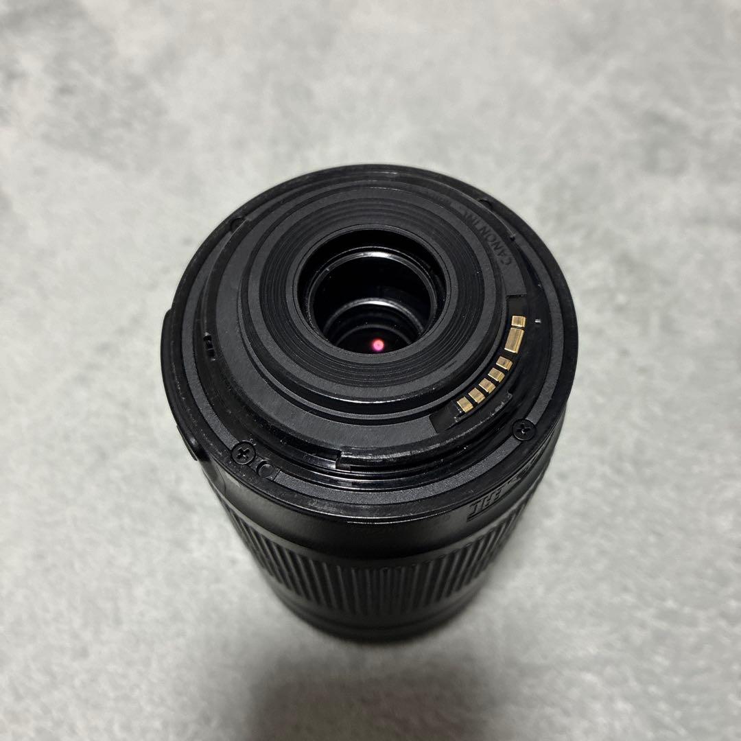 Canon EF-S 55-250mm レンズ