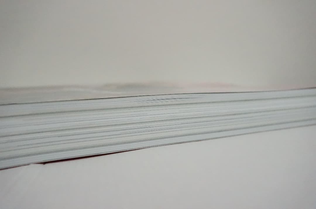 s*3様 2000部限定 Le petit voyeur #6 カルチャーマガジ