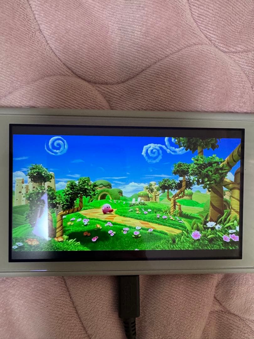 NINTENDO SWITCH LITE ポケモン　ザシアン　ジャンク