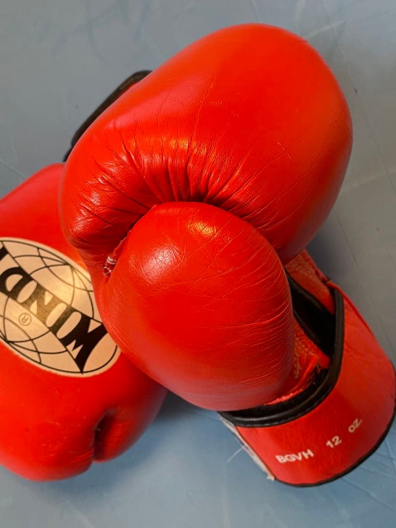 【海】WINDY 12oz ボクシンググローブ